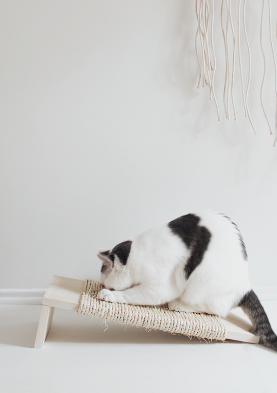 diy corner cat scratcher