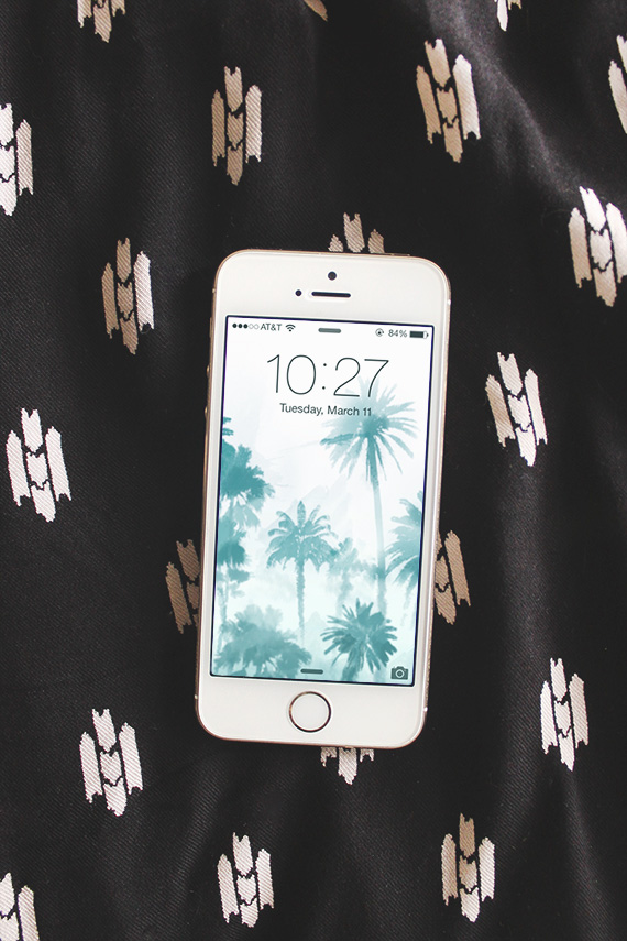 palm tree iphone background