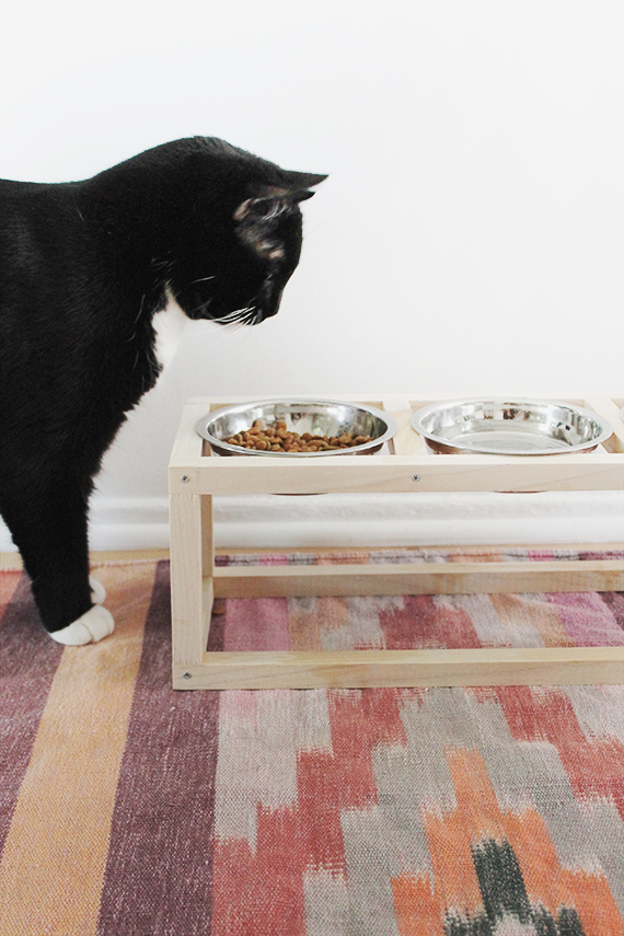 DIY Modern Elevated Dog Bowl Stand - Handmade Weekly