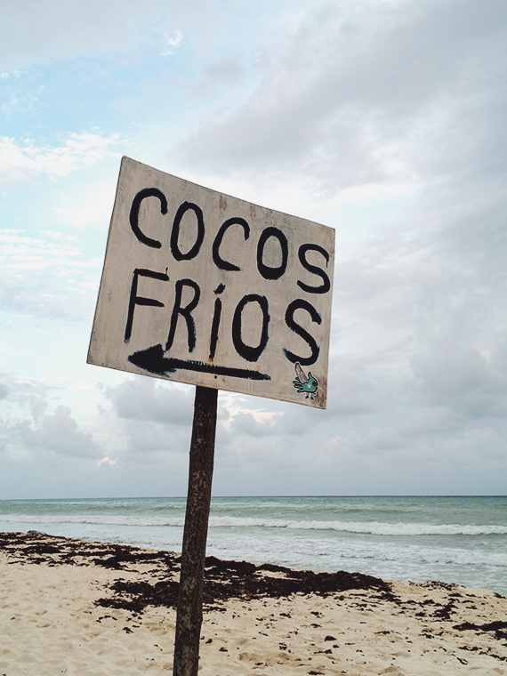 cocos frios