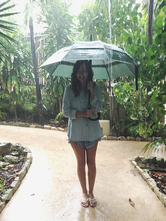 the viceroy | rainy day