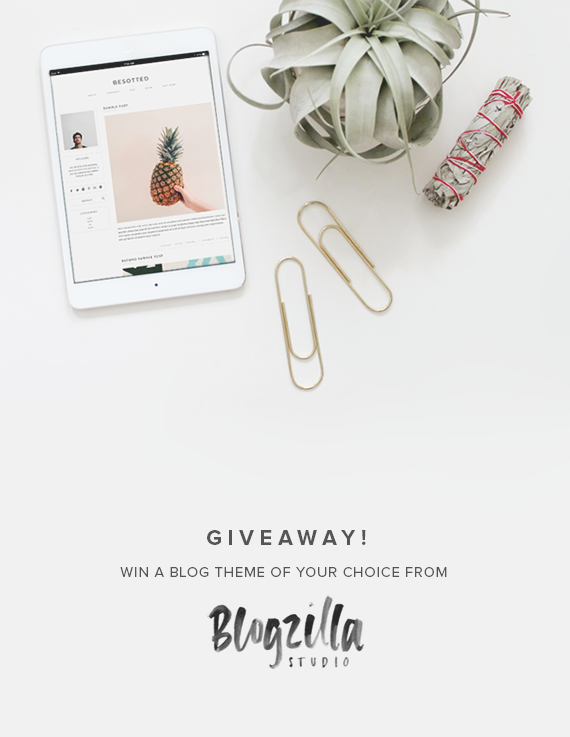 blogzilla studio giveaway | almost makes perfect