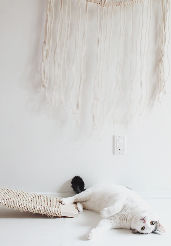 Diy Cat Scratcher Almost Makes Perfect