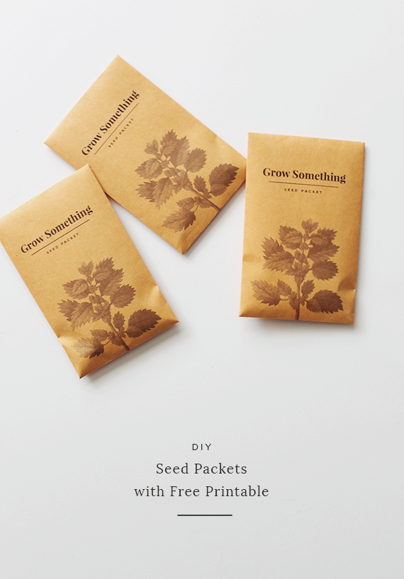 Ejendommelige metallisk Konsulat diy seed packets with free printable – almost makes perfect