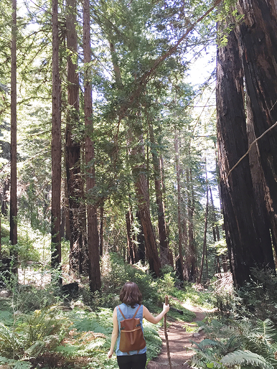 julia pfeiffer in big sur | almost makes perfect