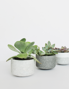 DIY mini granite pots
