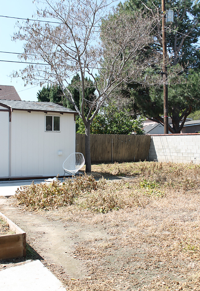 our backyard | before