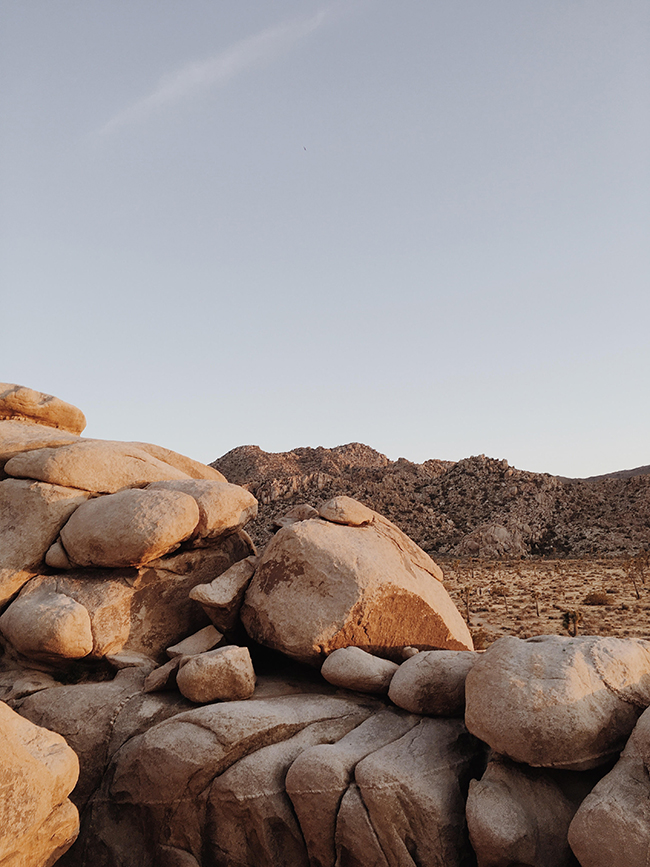 joshua tree, california