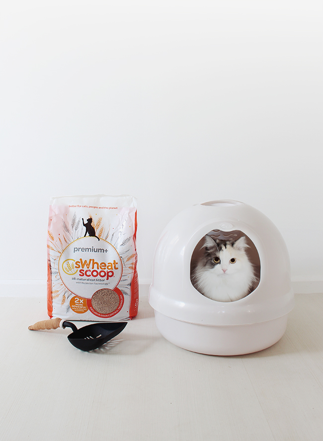 Diy cat pooper scooper sale