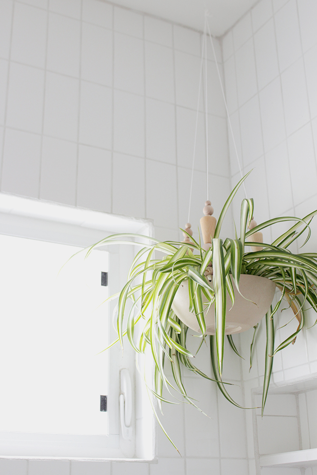 Plant hanger for discount bathroom