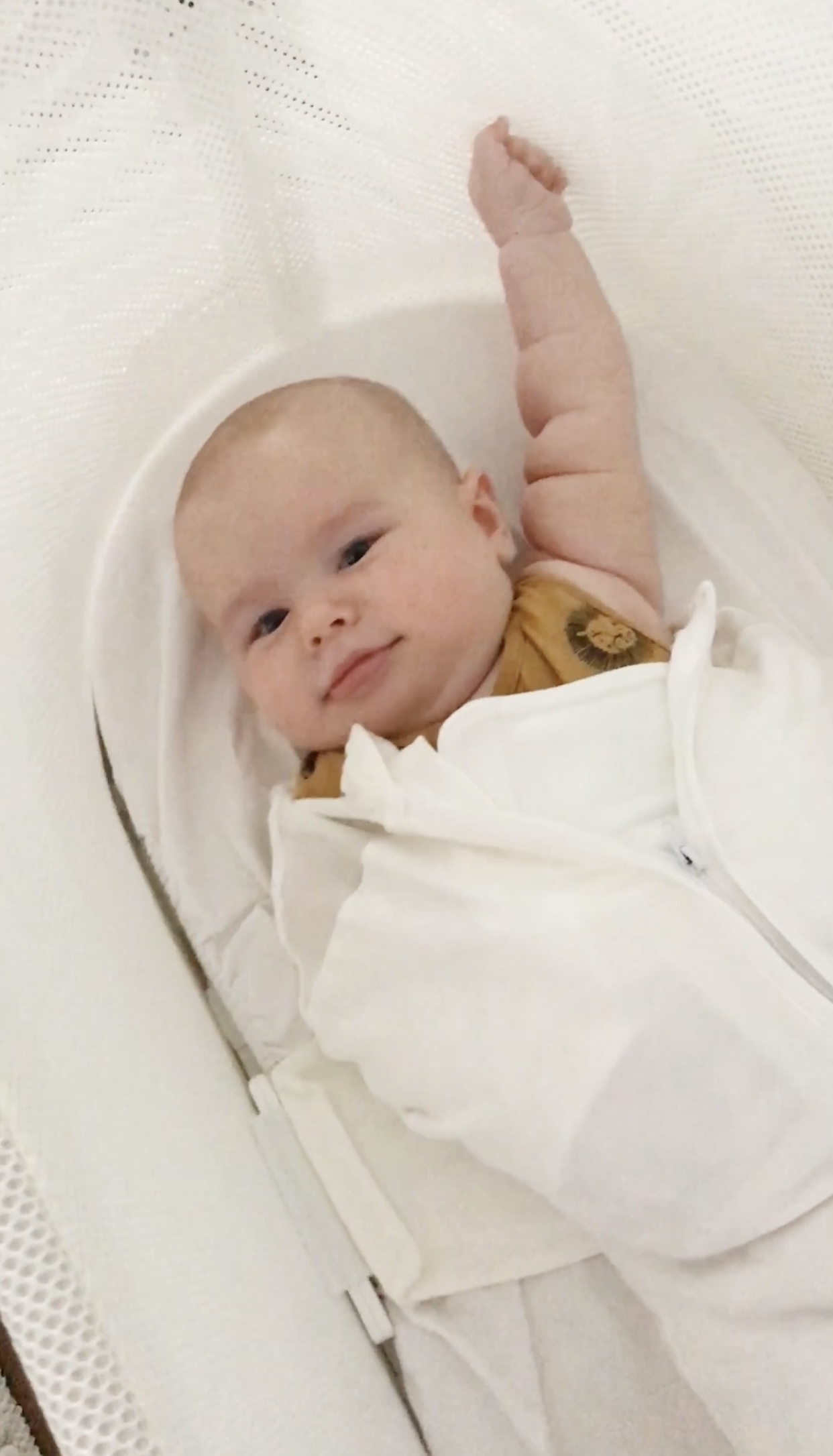 Snoo cheap swaddle tips