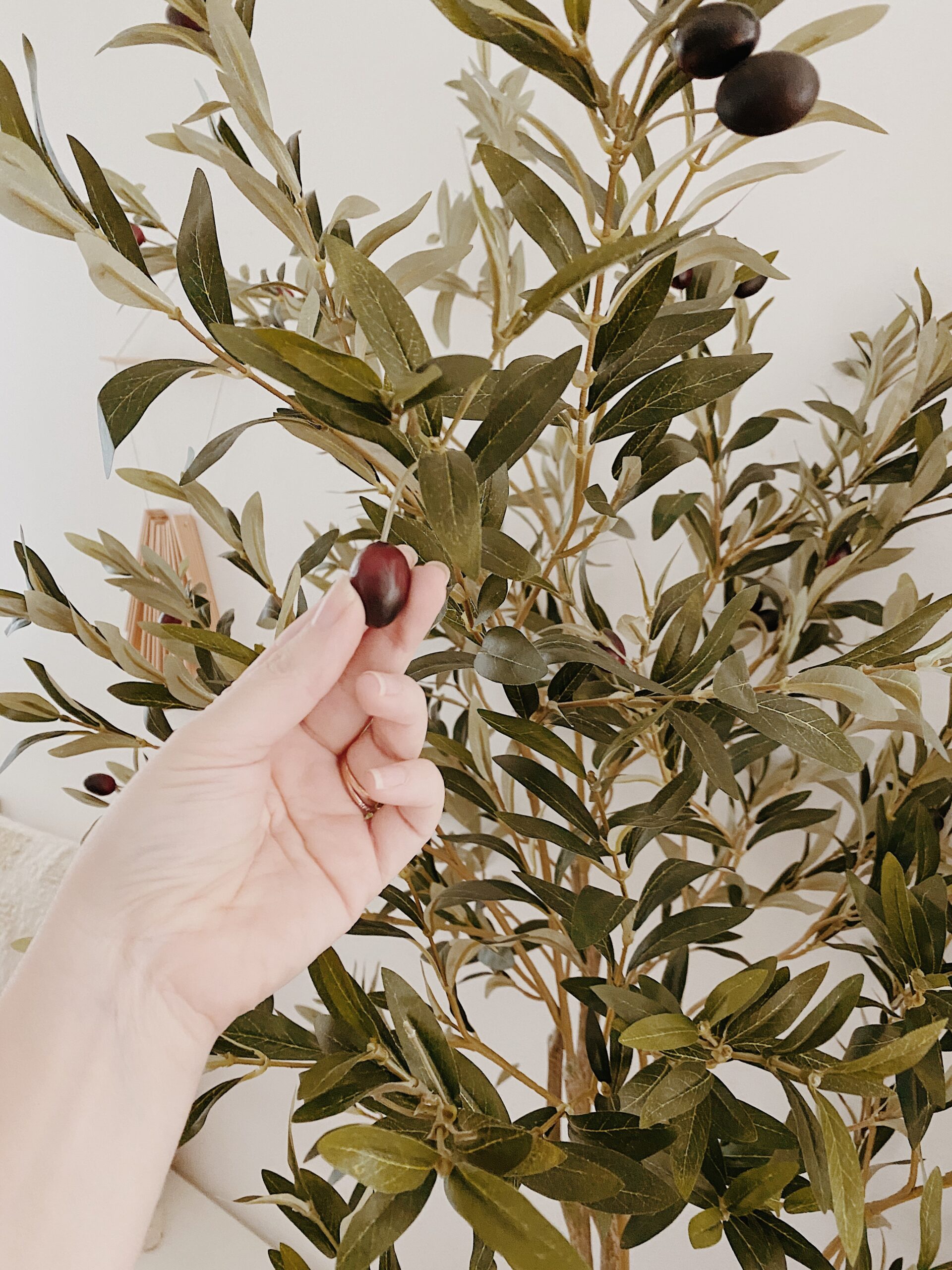 how to make a faux olive tree look better – almost makes perfect