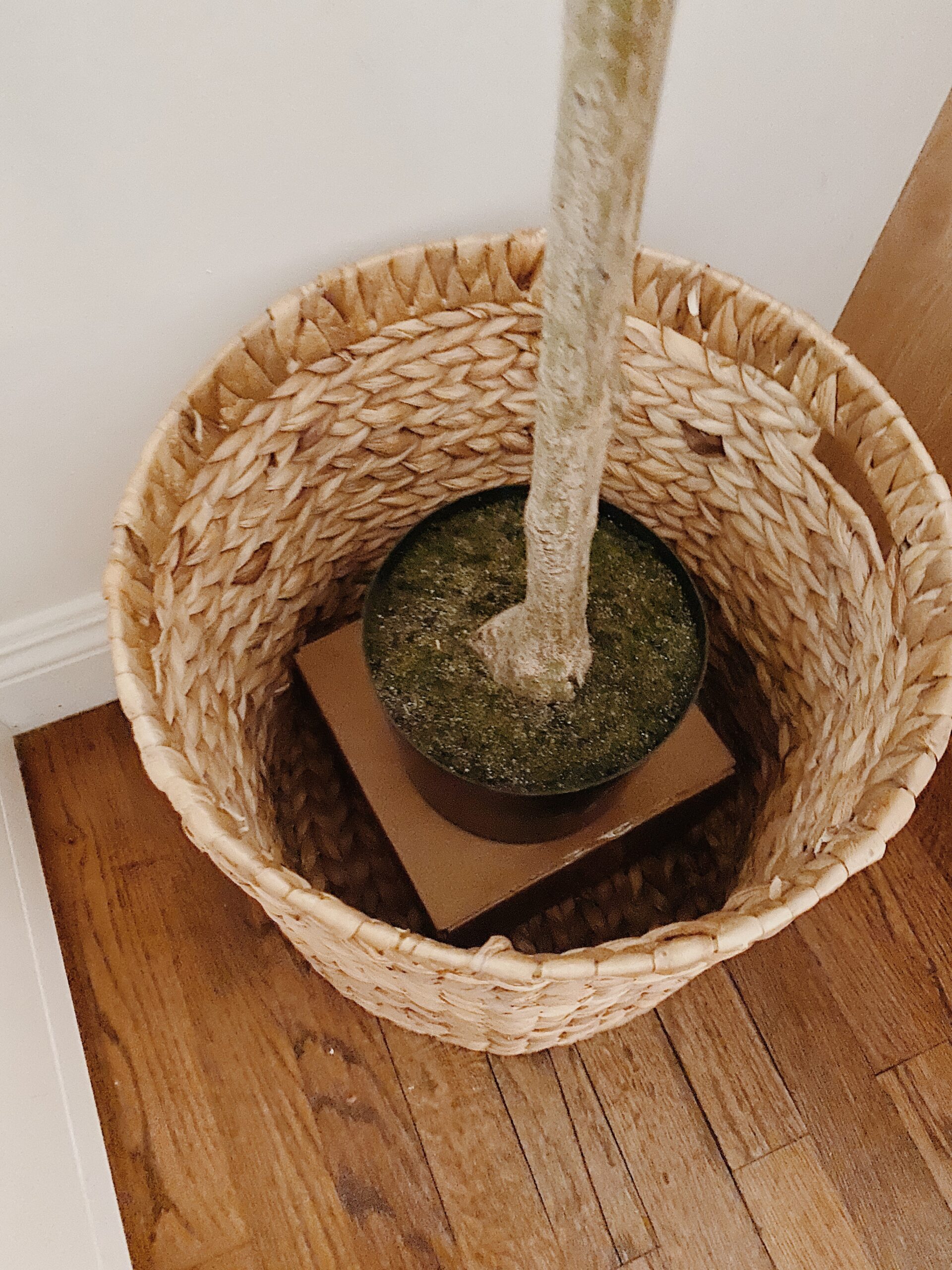 How to Turn a Woven Basket Into a Pretty Planter