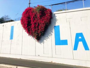 brands providing free products for those impacted by the LA fires