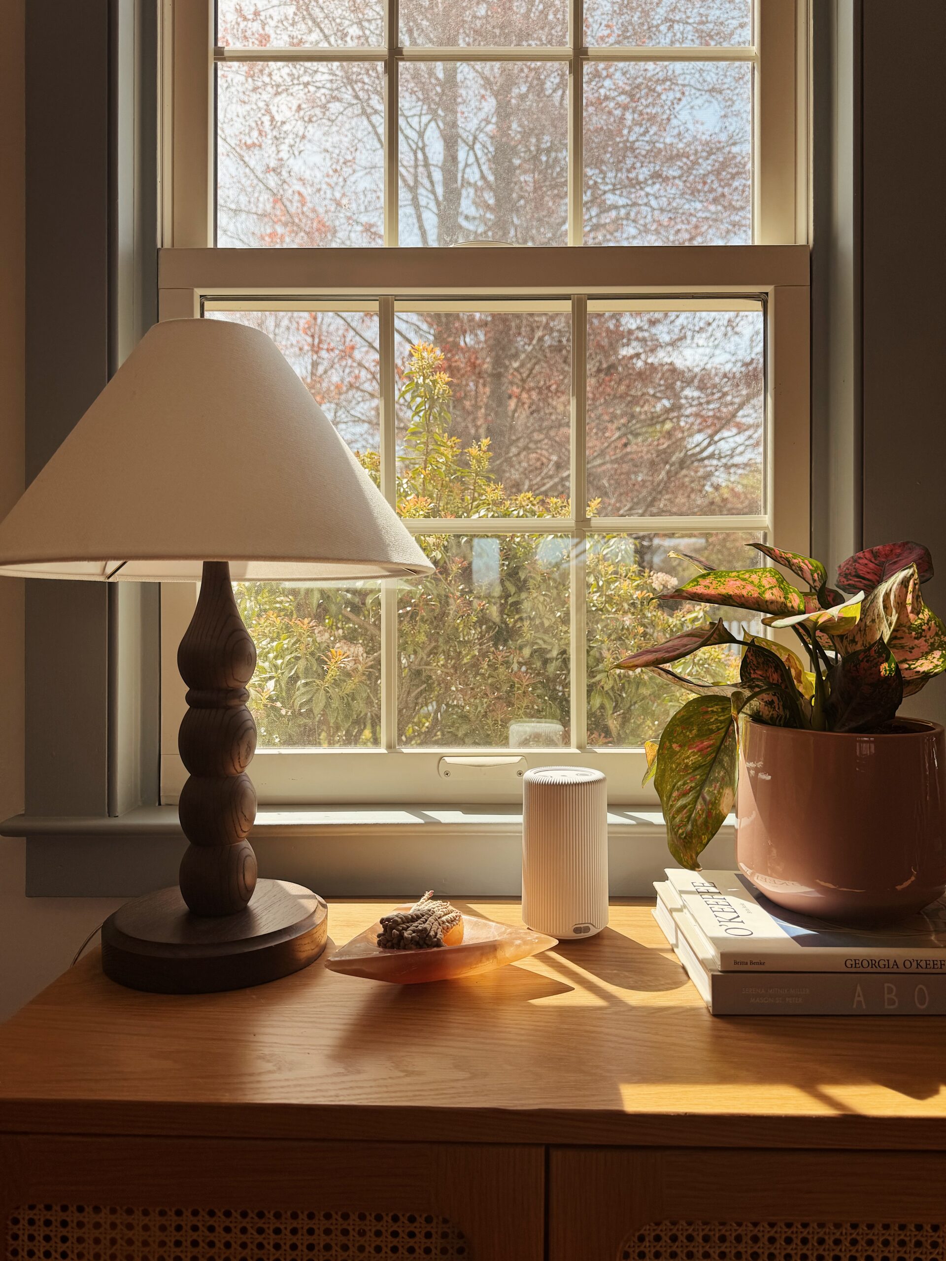 i tried the Pura diffuser and now every room needs one